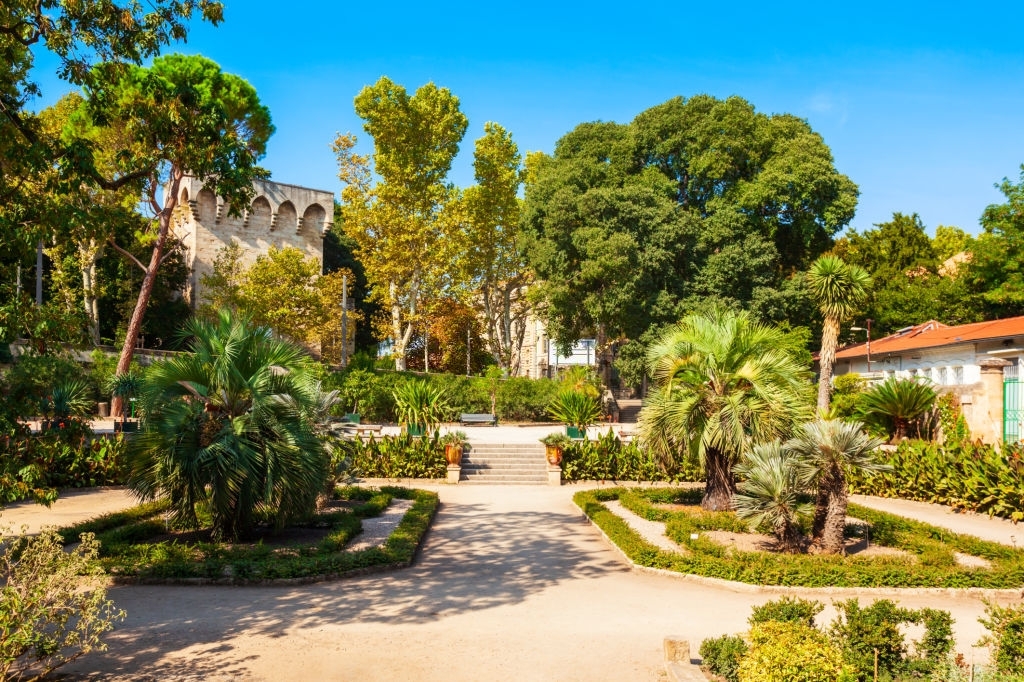 The jardin des plantes de Montpellier